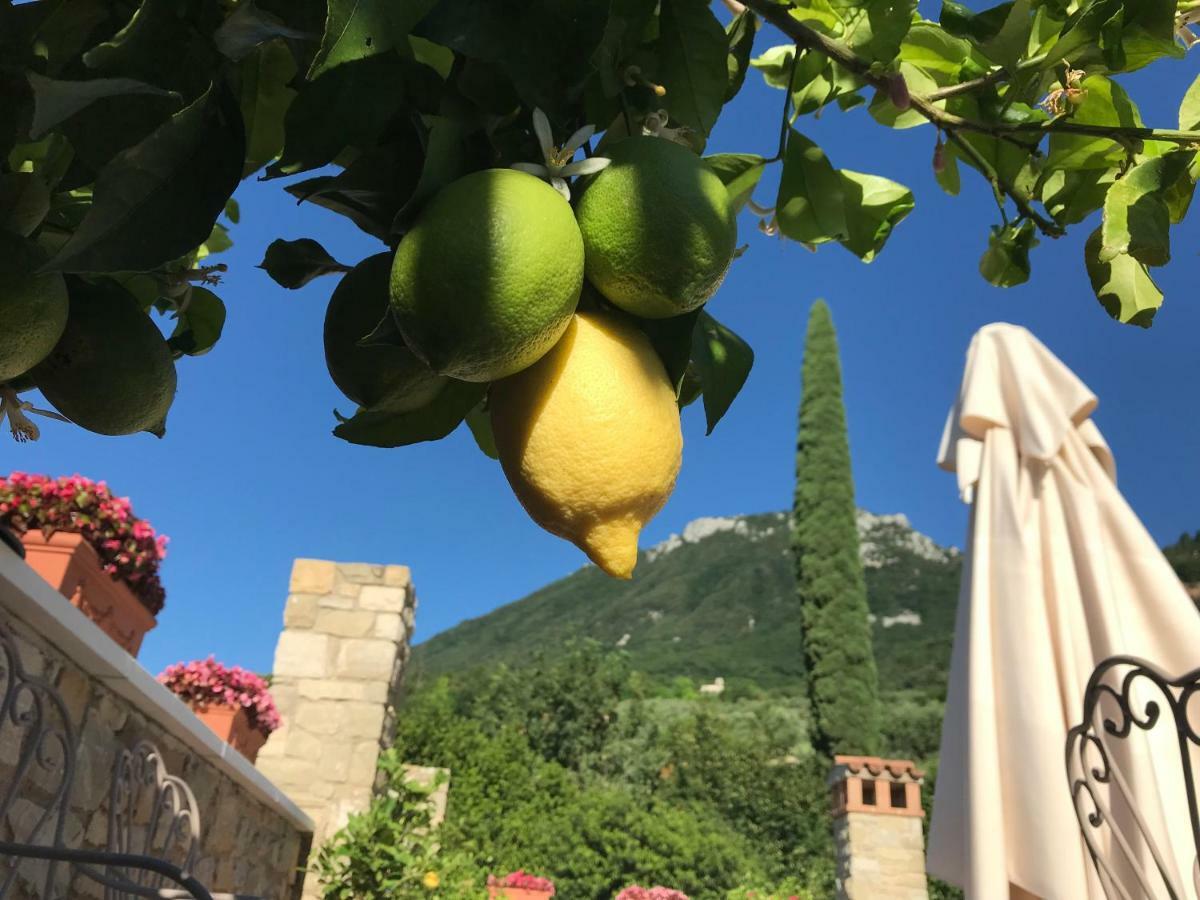 La Cascata Negli Ulivi Toscolano Maderno Exterior foto